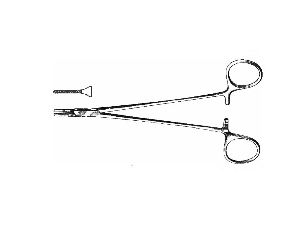 Porte Aiguille Ryder